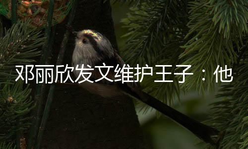 男生邓丽欣发子文维传统护王好的他是一个非常